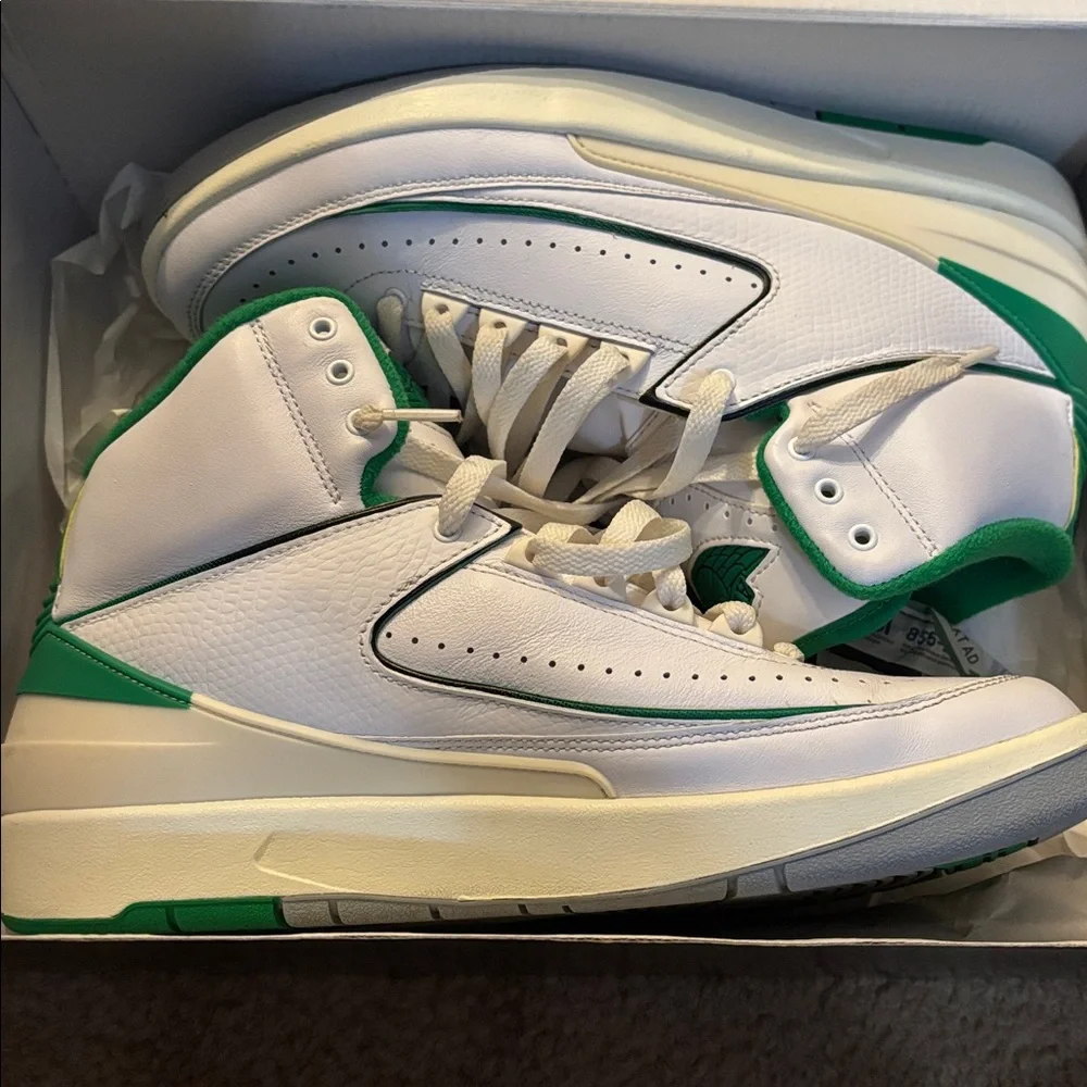 Air Jordan 2 retro